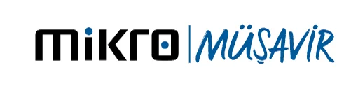 Mikro Müşavir